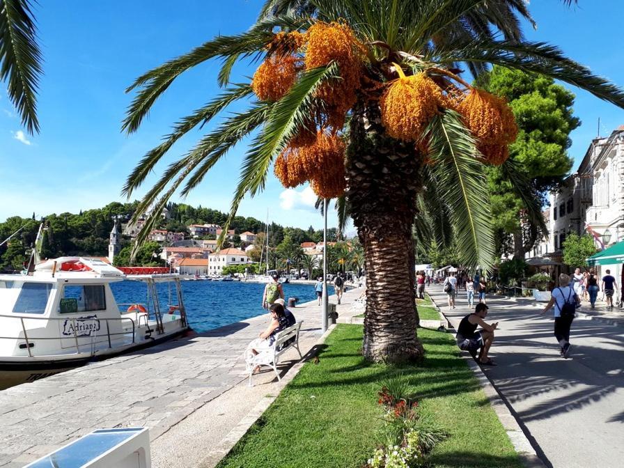 Apartments Rilovic, City And Sea View Apartments Cavtat Eksteriør billede